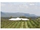 240 Old North Road, Pokolbin NSW 2320