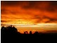 240 Old North Road, Pokolbin NSW 2320
