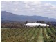 240 Old North Road, Pokolbin NSW 2320