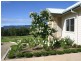 240 Old North Road, Pokolbin NSW 2320