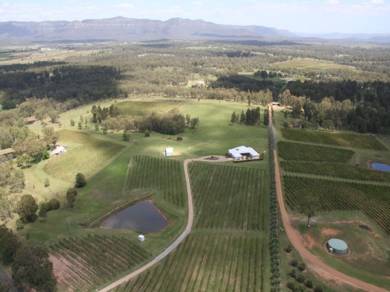 240 Old North Road, Pokolbin NSW 2320