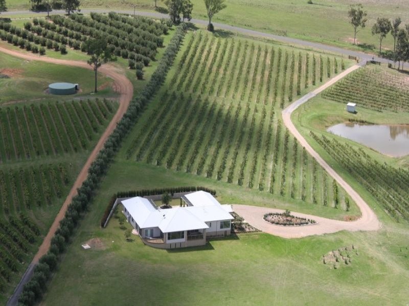 240 Old North Road, Pokolbin NSW 2320