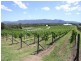 240 Old North Road, Pokolbin NSW 2320