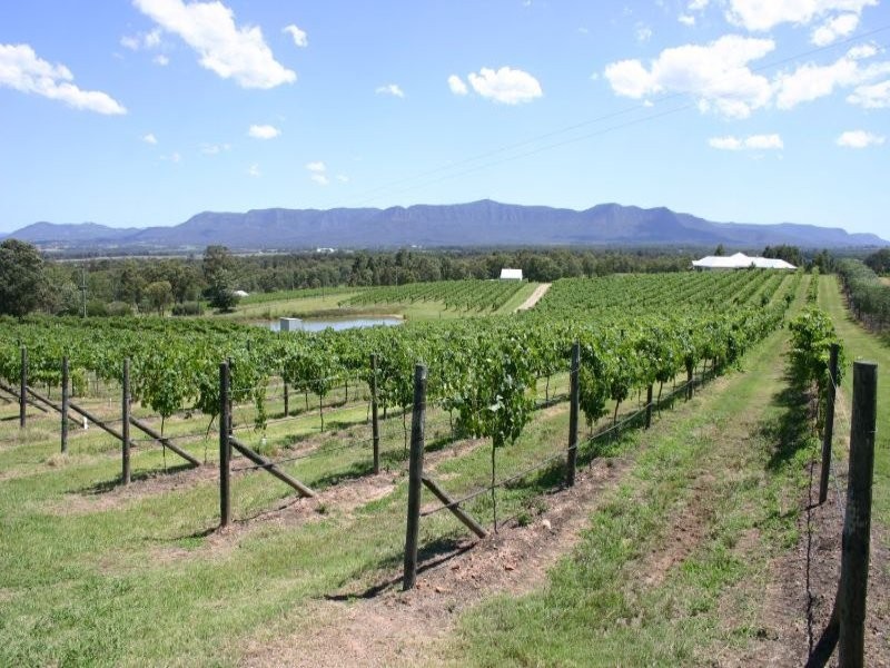240 Old North Road, Pokolbin NSW 2320
