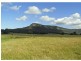 187 Whitings Lane, Quorrobolong NSW 2325