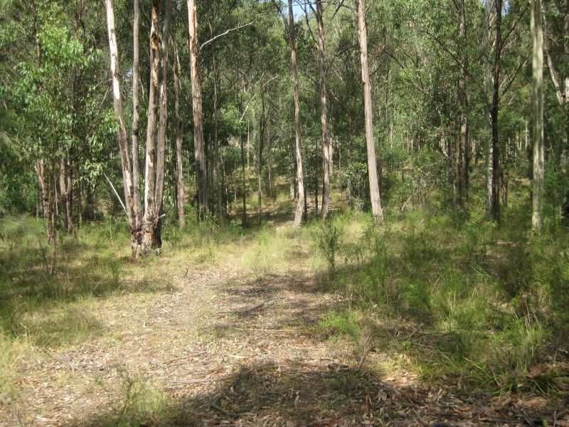 L22 Wallaby Gully Road, Ellalong NSW 2325