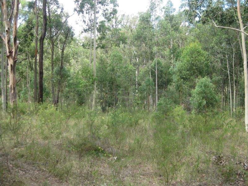 L22 Wallaby Gully Road, Ellalong NSW 2325