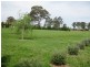 Lot 12 In Plan Of Subd Of 10 Fleming Street, Nulkaba NSW 2325