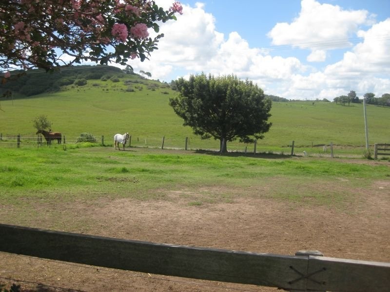 184 Melville Ford Road, Melville NSW 2320