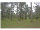 Lot 2302 Forest Court, Paxton NSW 2325