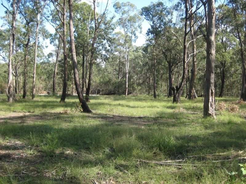Lot 2302 Forest Court, Paxton NSW 2325