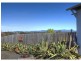 251 Talga Road, Lovedale NSW 2325