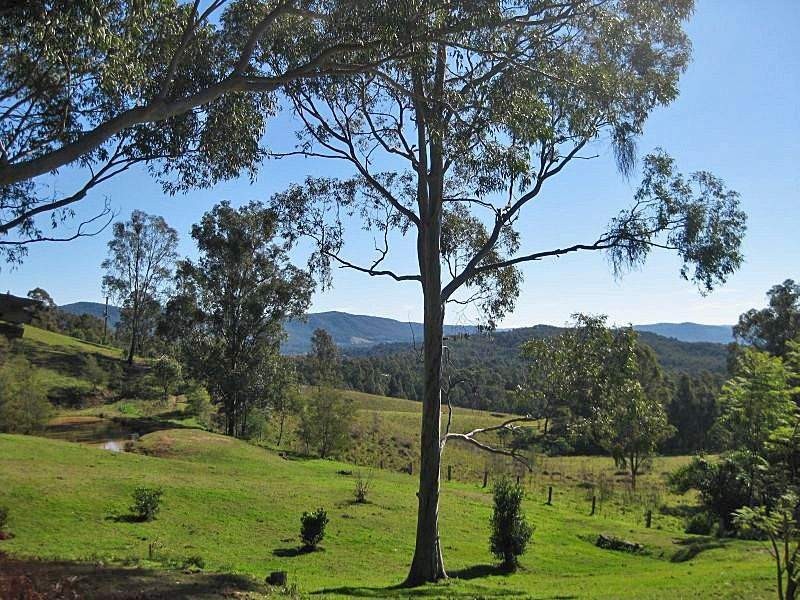 111 Q3 Private Access Road, Ellalong NSW 2325