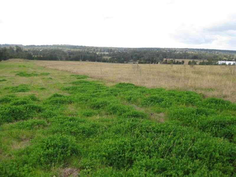 18 Valley View Place, Nulkaba NSW 2325