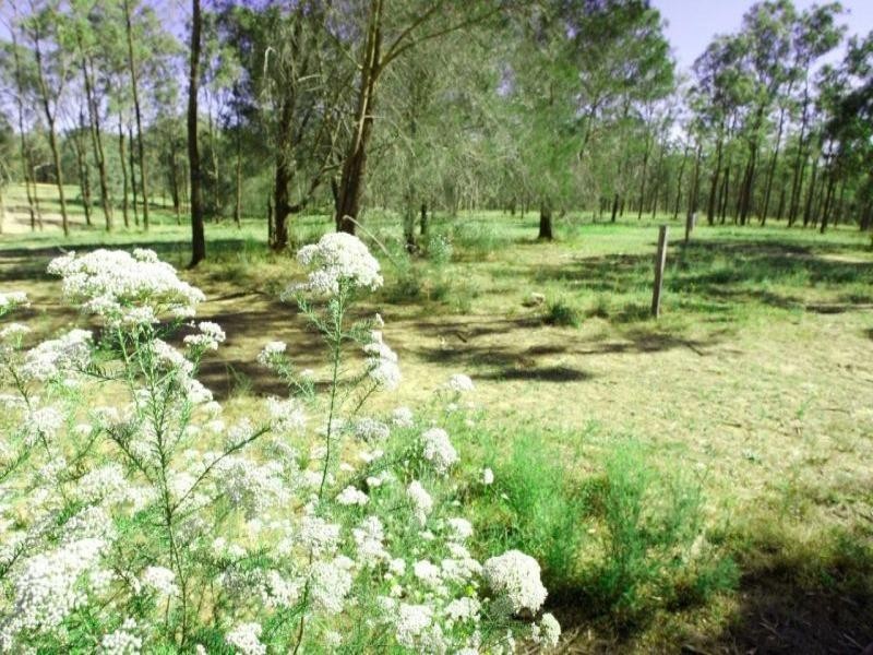 Lot 9 Blackburn Estate, Wine Country Drive, Rothbury NSW 2320