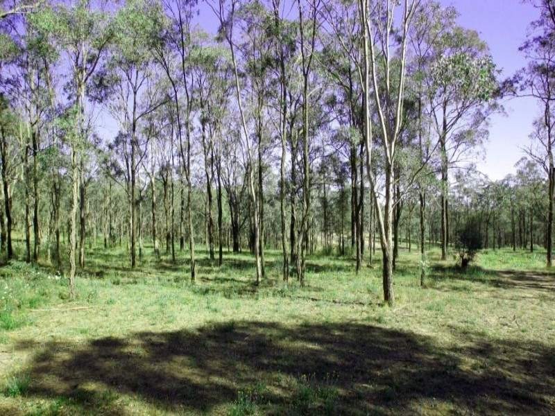 Lot 9 Blackburn Estate, Wine Country Drive, Rothbury NSW 2320
