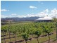 Lot 2 O’Connors Road, Pokolbin NSW 2320