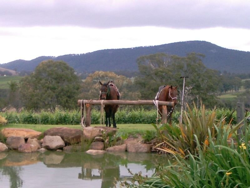 Lot 2 O’Connors Road, Pokolbin NSW 2320