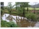1652 Wollombi Road, Cedar Creek NSW 2325
