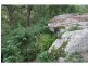 1652 Wollombi Road, Cedar Creek NSW 2325