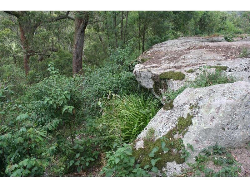 1652 Wollombi Road, Cedar Creek NSW 2325