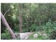 1652 Wollombi Road, Cedar Creek NSW 2325