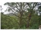 1652 Wollombi Road, Cedar Creek NSW 2325