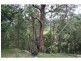 1652 Wollombi Road, Cedar Creek NSW 2325