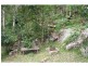 1652 Wollombi Road, Cedar Creek NSW 2325
