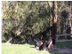 1652 Wollombi Road, Cedar Creek NSW 2325