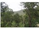 1652 Wollombi Road, Cedar Creek NSW 2325