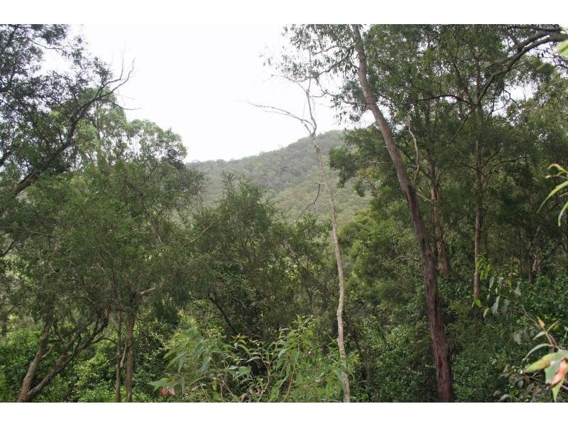 1652 Wollombi Road, Cedar Creek NSW 2325