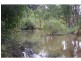 1652 Wollombi Road, Cedar Creek NSW 2325