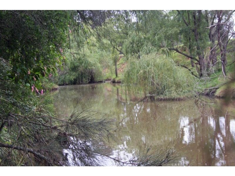 1652 Wollombi Road, Cedar Creek NSW 2325