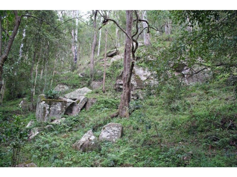 1652 Wollombi Road, Cedar Creek NSW 2325