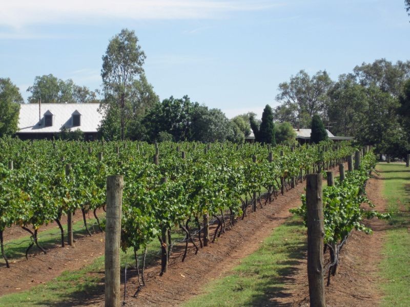 447 Old North Road, Pokolbin NSW 2320