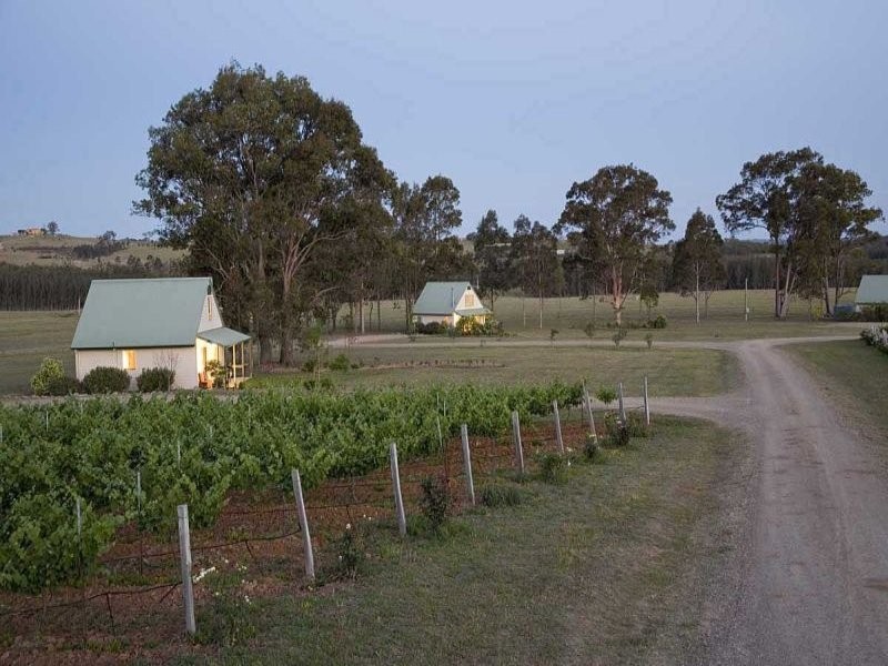 447 Old North Road, Pokolbin NSW 2320