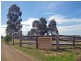 447 Old North Road, Pokolbin NSW 2320