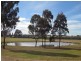 447 Old North Road, Pokolbin NSW 2320