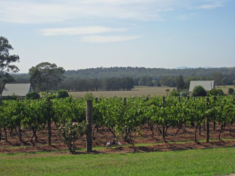 447 Old North Road, Pokolbin NSW 2320