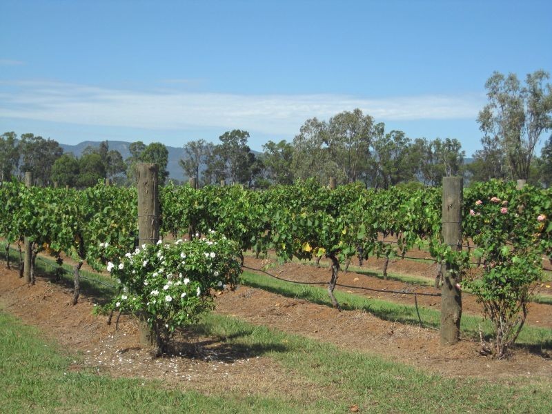 447 Old North Road, Pokolbin NSW 2320