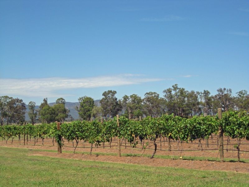 447 Old North Road, Pokolbin NSW 2320