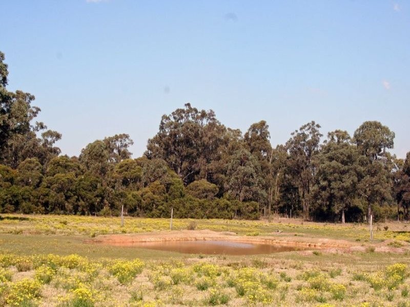 Lot 62 McCarthy Road, Nulkaba NSW 2325