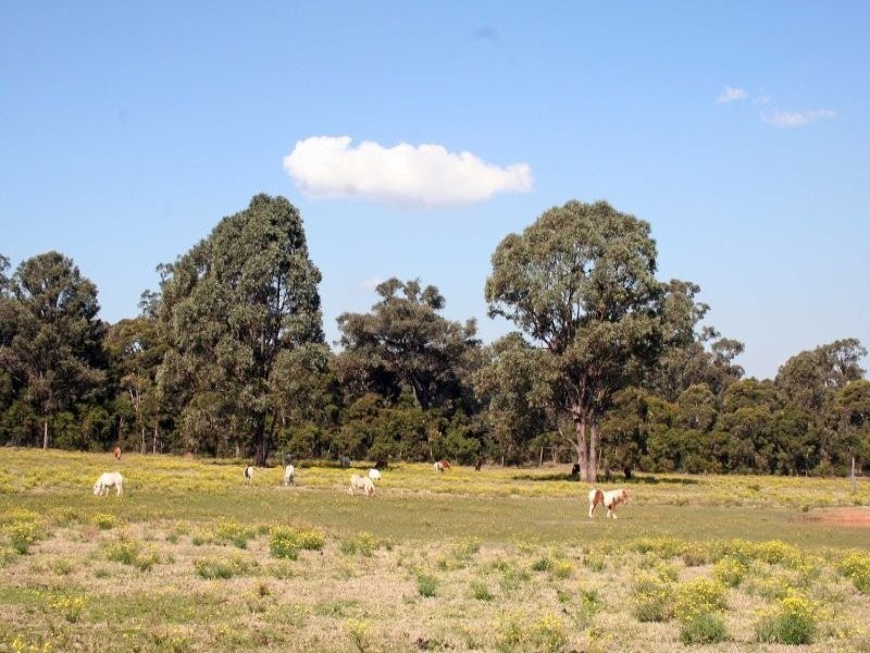Lot 62 McCarthy Road, Nulkaba NSW 2325