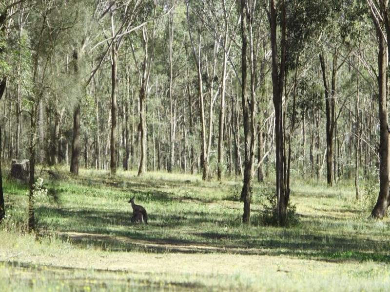 Lot 2 Blackburn Wine Country Drive, Rothbury NSW 2320