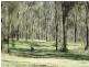 Lot 2 Blackburn Wine Country Drive, Rothbury NSW 2320
