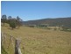 1 Cnr Mount View Road & Bellamy Street, Millfield NSW 2325