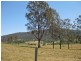 1 Cnr Mount View Road & Bellamy Street, Millfield NSW 2325