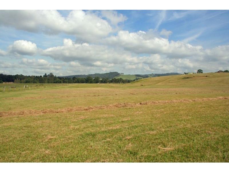 1060 Leggetts Drive, Mulbring NSW 2323