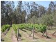 284 Elderslie Road, Branxton NSW 2335